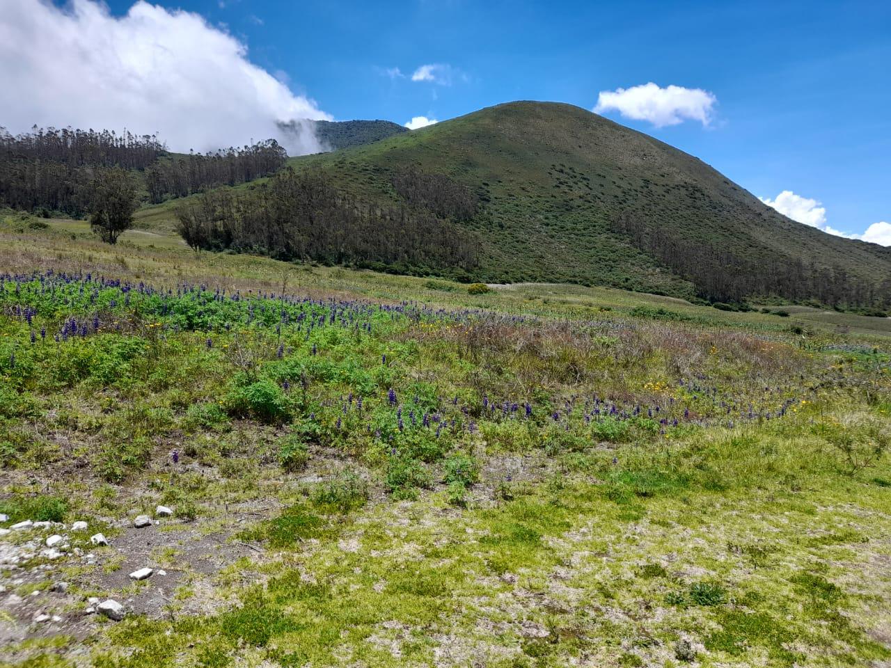 Terreno de 100 hectáreas en venta en Calacalí