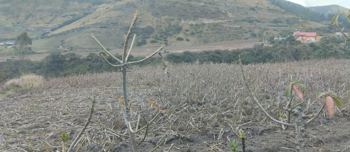 Terreno - Mitad del Mundo