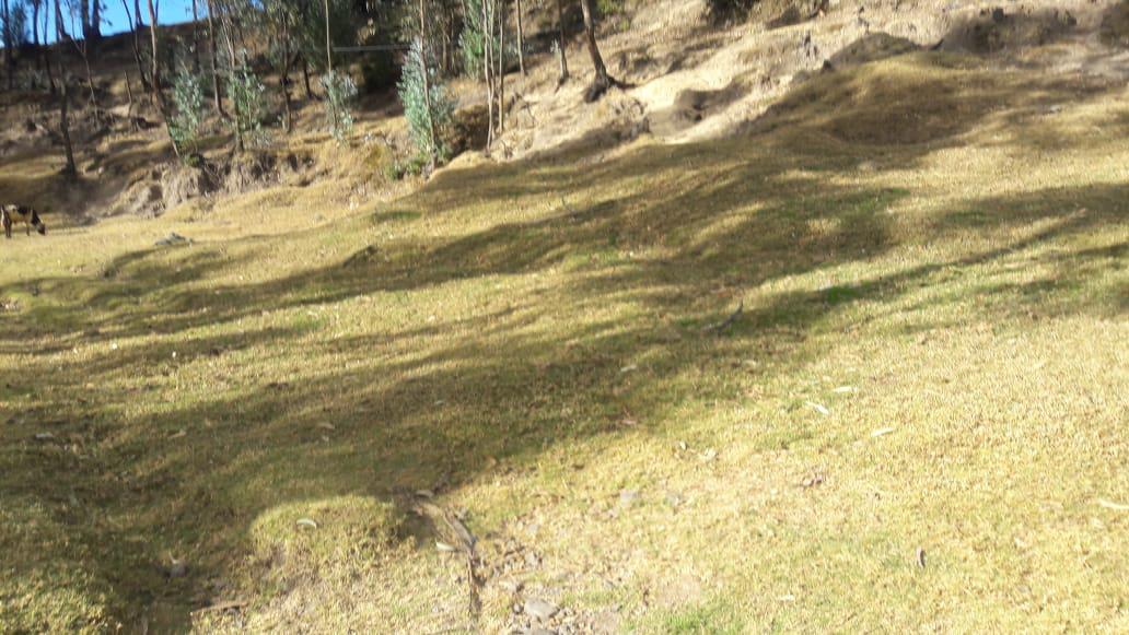 Terreno en  Venta en el Sector de La Concepcion. Valle de Los Chillos. 2500mts.