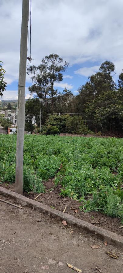 Terreno en venta en Tumbaco, sector la Cerámica