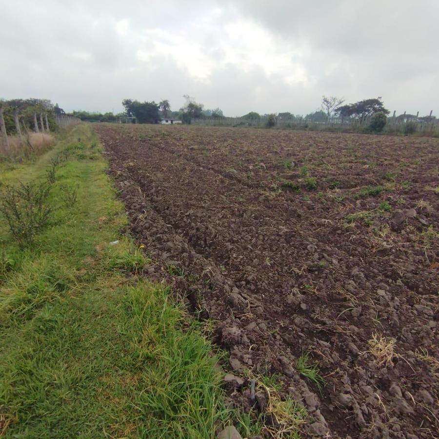 TERRENO DE VENTA EN TABABELA BARRIO GUAMBI