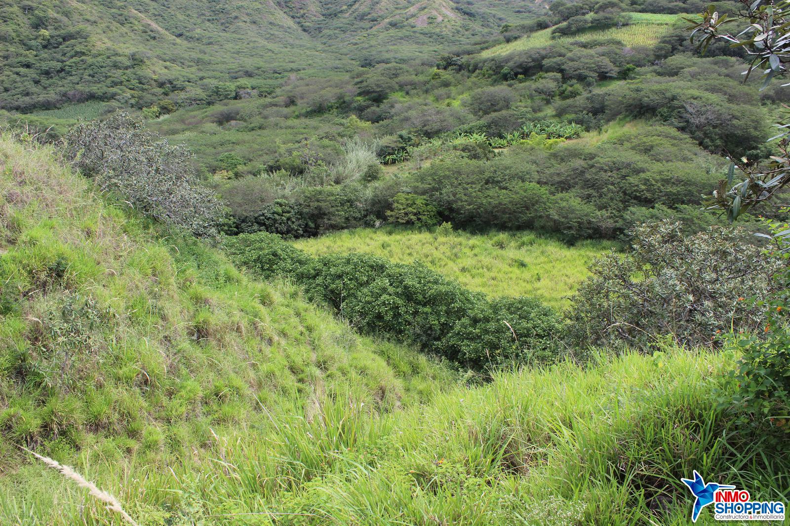 Terreno en el sector San José de Ceibopamba - A 4 minutos de La Merced - Malacatos - Loja