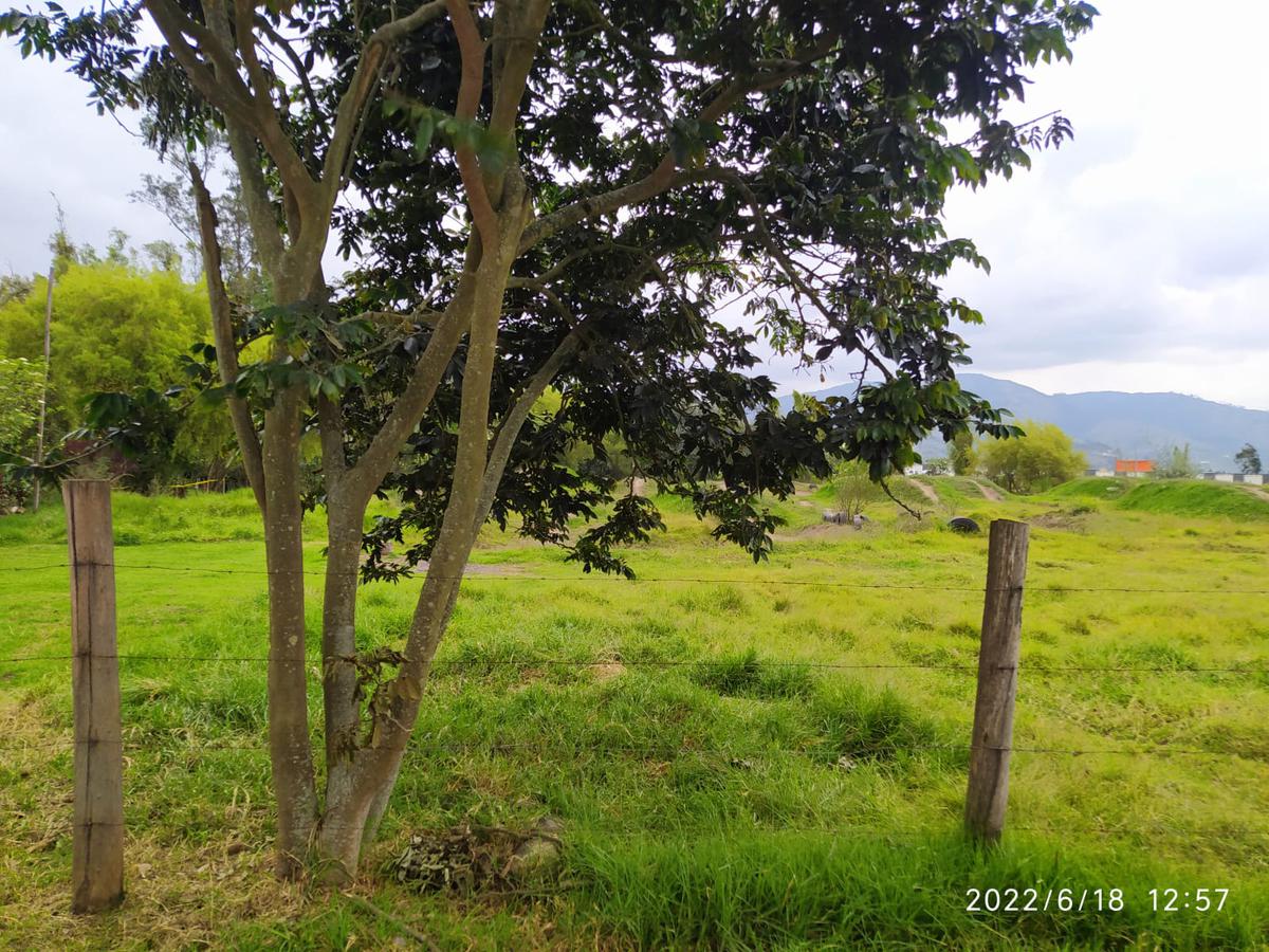 Excelente terreno plano en Pifo¡¡ Alta Plusvalía