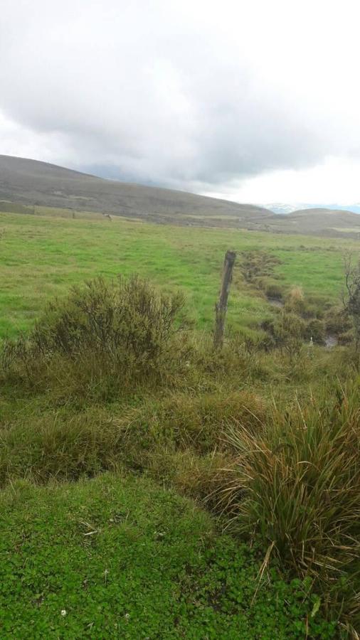 VENDO HACIENDA CON CRIADERO DE TRUCHAS EN EL ANGEL- CARCHI