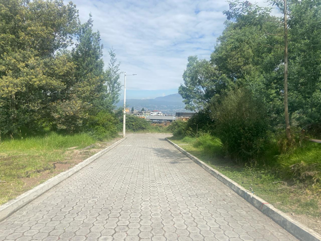 Terreno en Sector del Colibri Urb. Jardines del Colibri