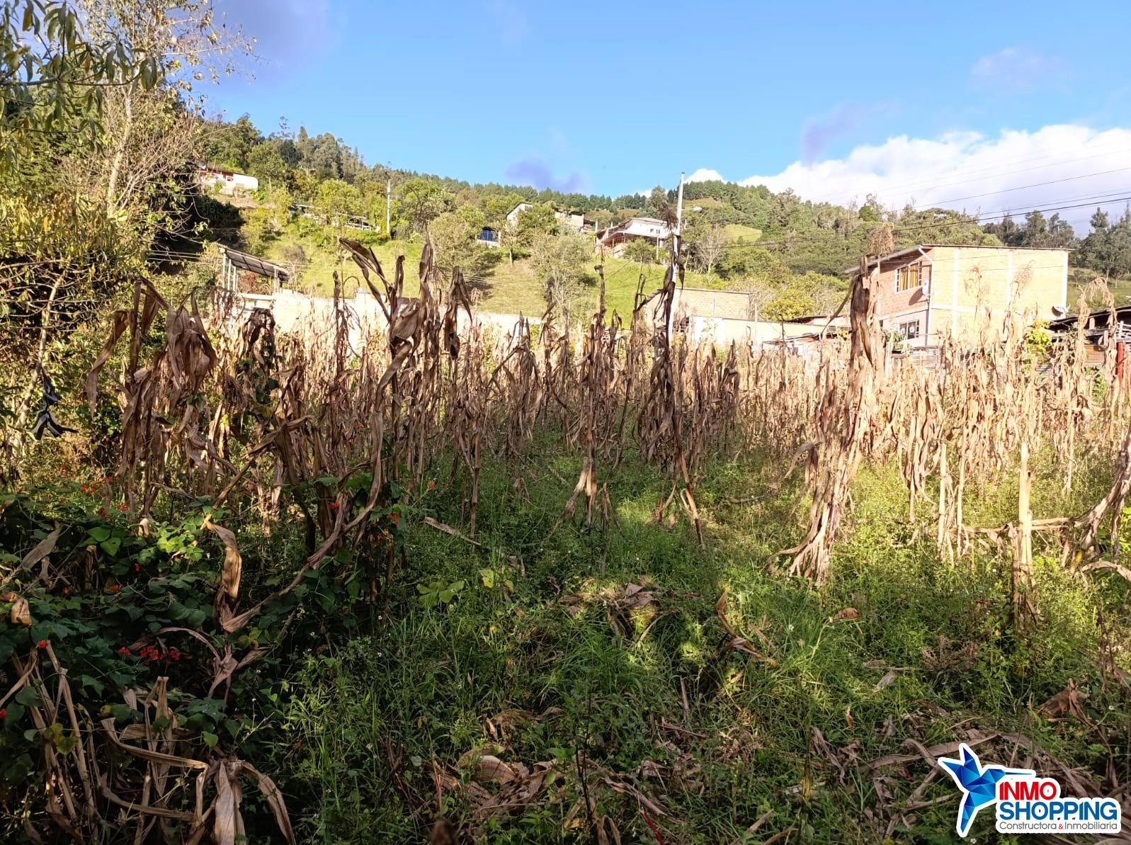 Lote en el Sector El Capulí - A una cuadra de la Av. a Malacatos