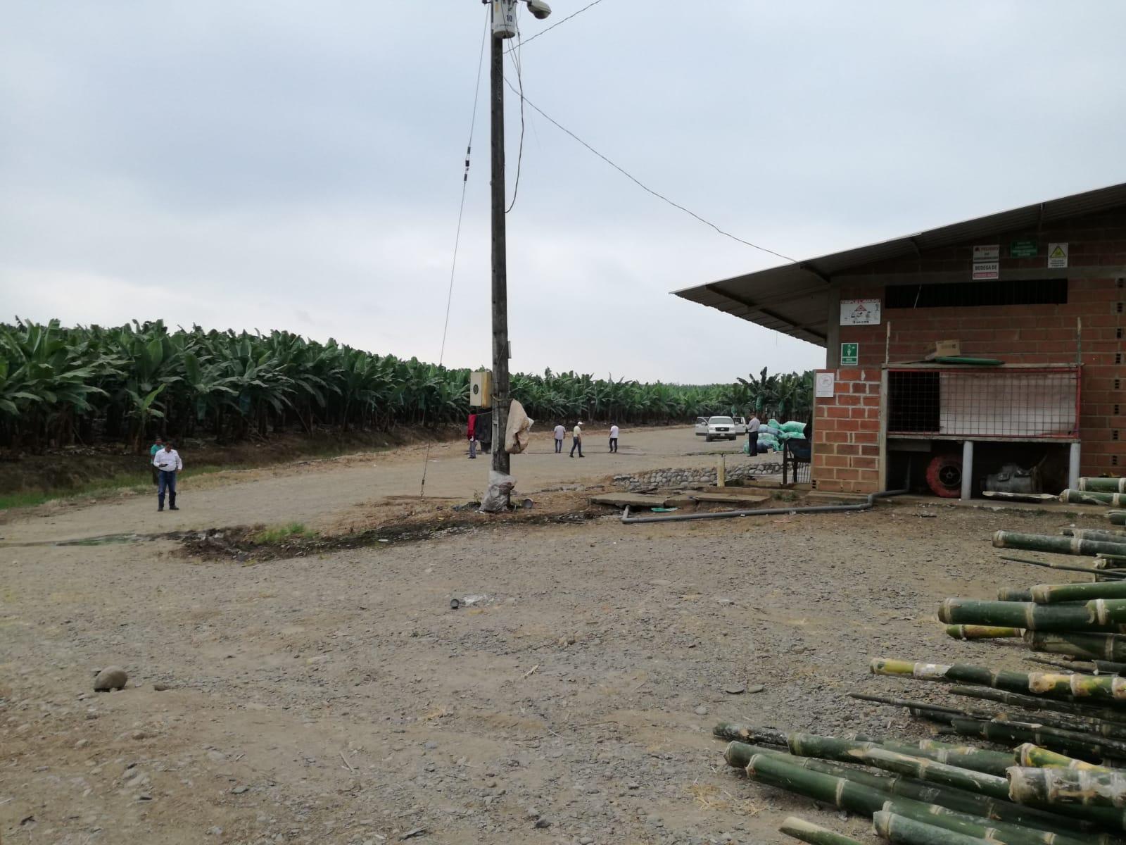 Hacienda bananera en venta los Ríos 240 hectáreas