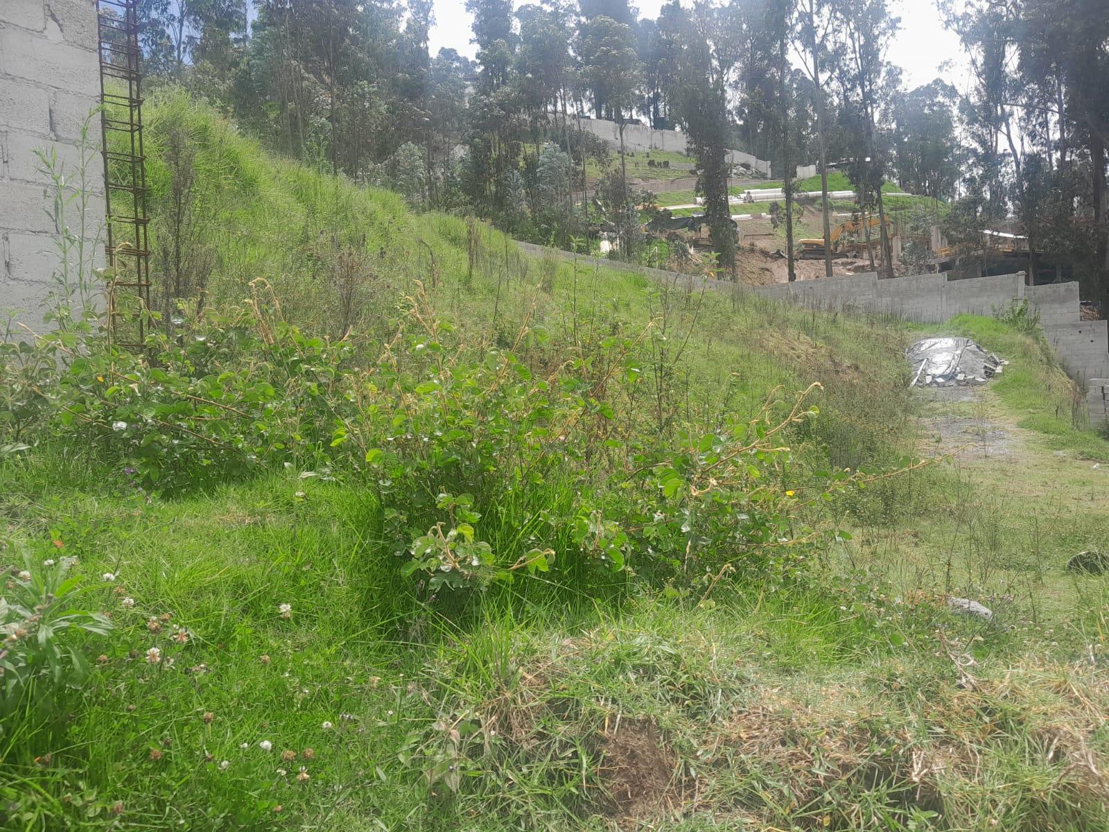 Terreno en  Venta cerca al Puente 3. Valle de Los Chillos