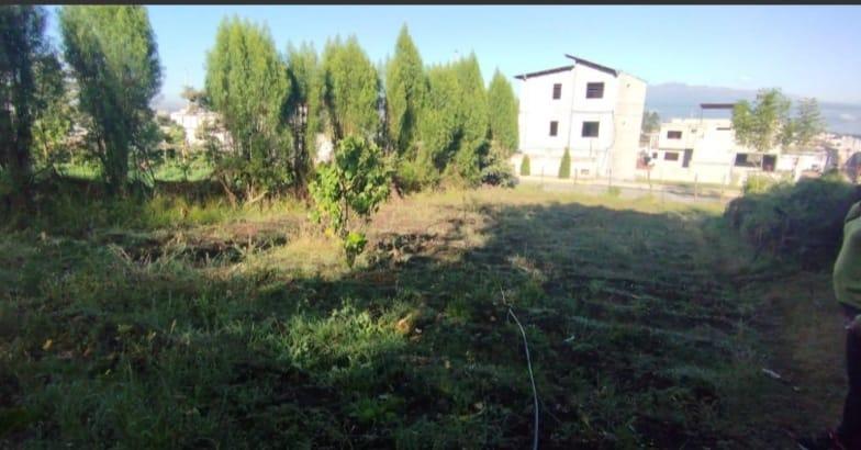 Terreno en Venta Pifo barrio San Javier