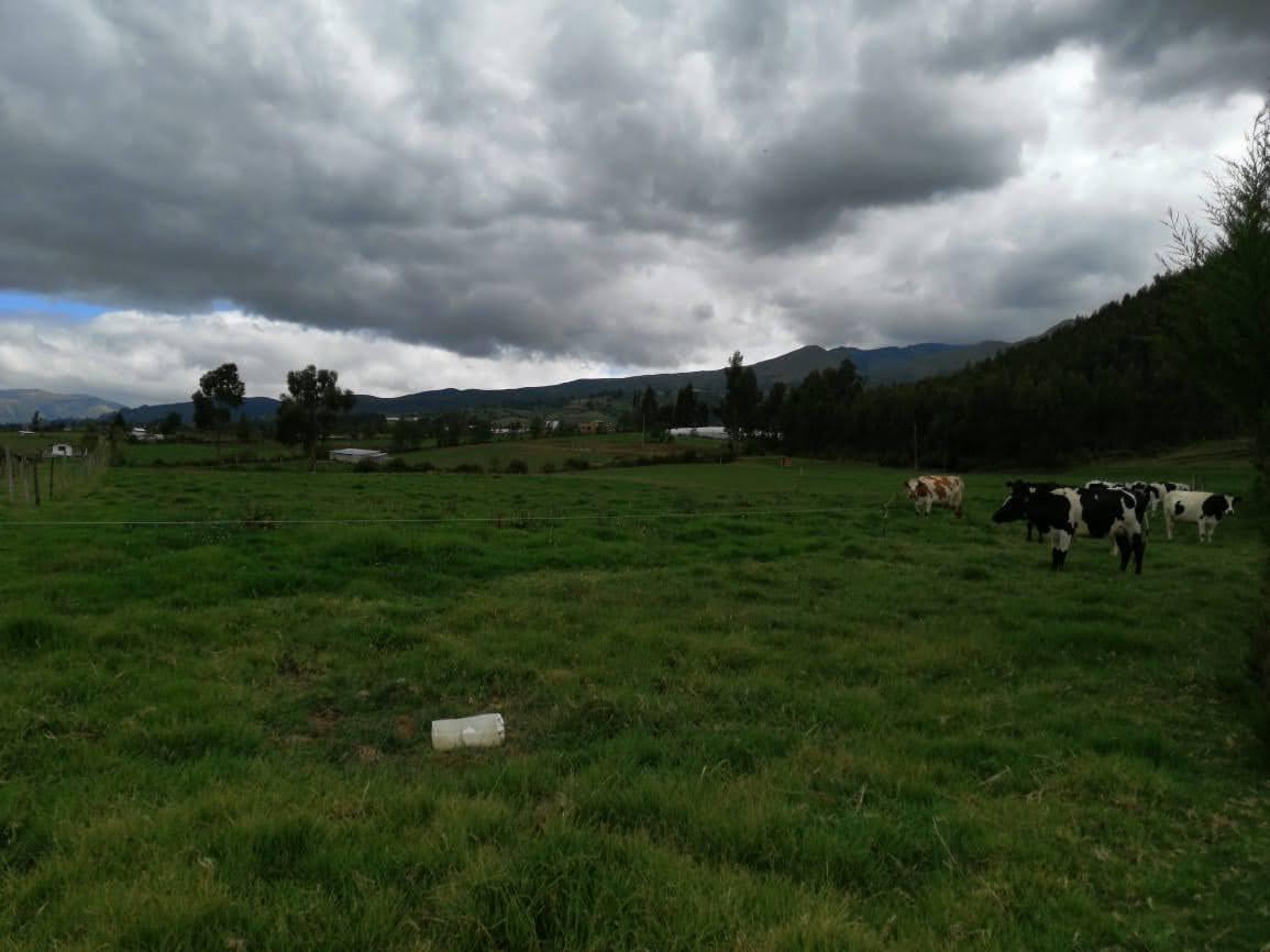 HERMOSA PROPIEDAD DE 5 HECTARES PLANAS SECTOR PAQUIESTANCIA