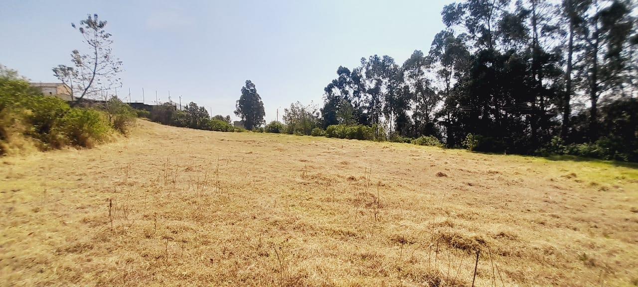 Terreno en venta de 1200 m esquinero , sector Uyumbicho