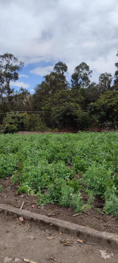 Vendo Terreno en Sector La Cerámica, Tumbaco, cerca a la Ruta Viva