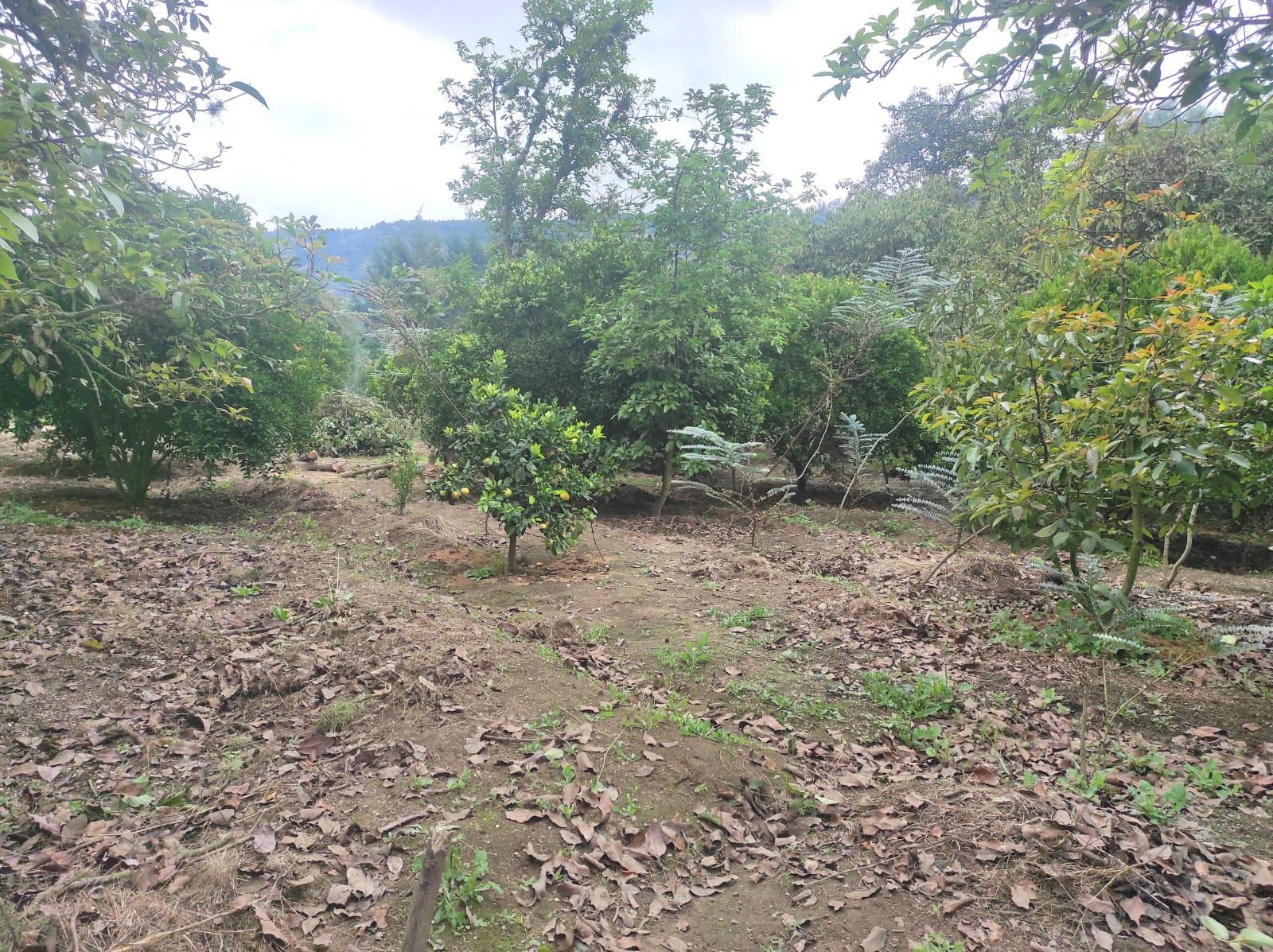 Terreno en  Guayllabamba barrio Villacis