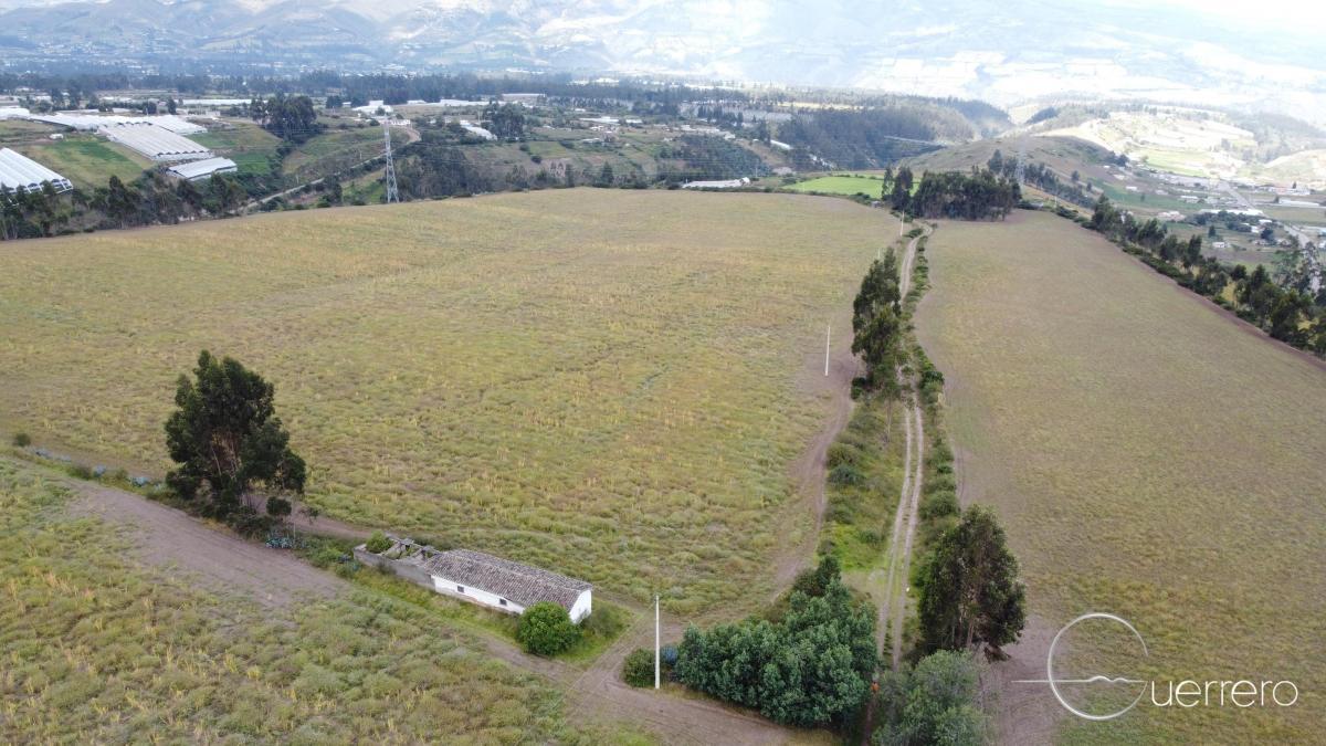 En venta 6 hectáreas de tierra orgánica agrícola en Tabacundo