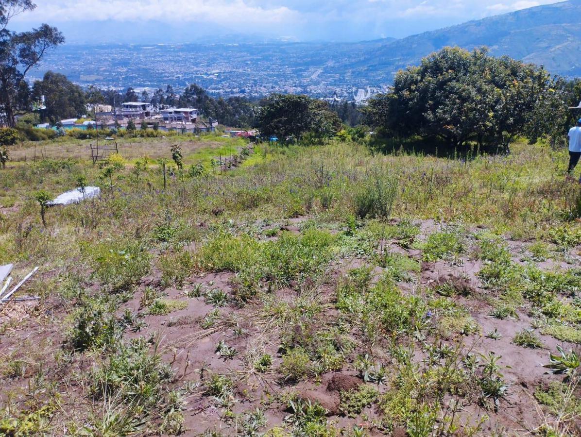 TERRENO EN VENTA CUMBAYA SECTOR SANTA ROSA