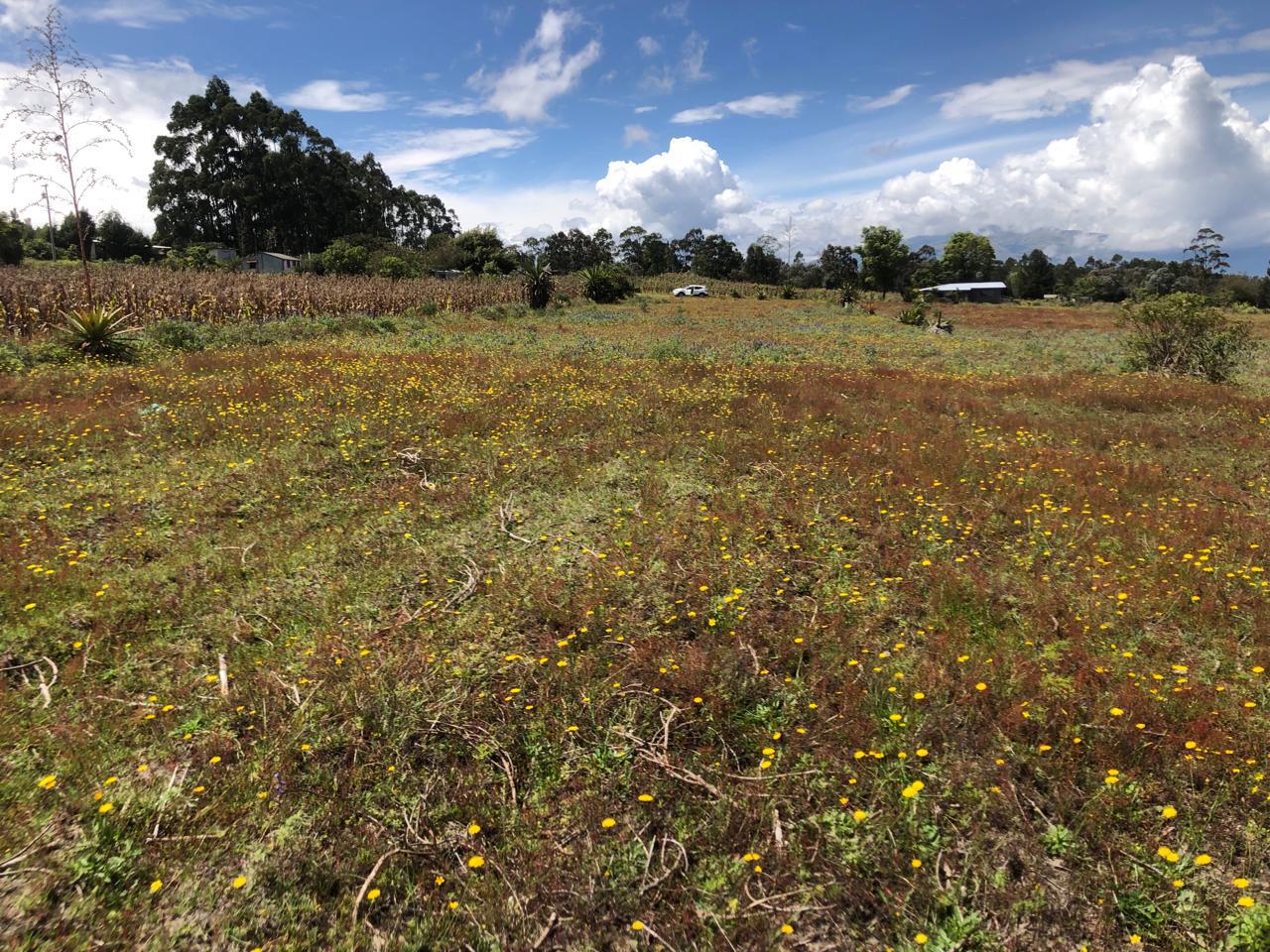 Hermoso terreno de venta en Malchingui