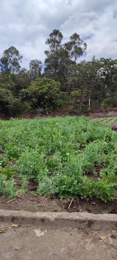 Vendo Terreno en Sector La Cerámica, Tumbaco, cerca a la Ruta Viva