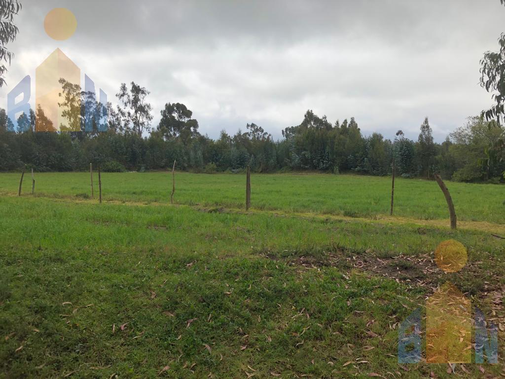 Venta - Terreno - San Miguel de Salcedo - Cotopaxi