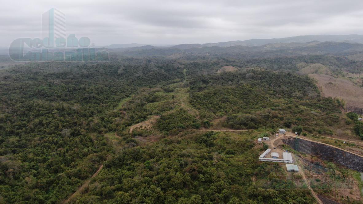 VENDO DE HACIENDA DE OPORTUNIDAD EN SECTOR LIMONCITO DA A DOS LADOS DE LA VIA Y A RIO BELEN