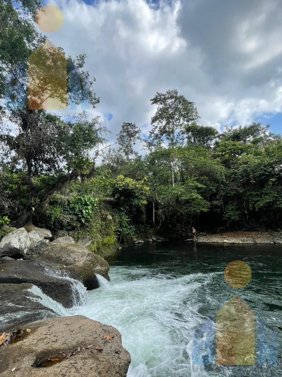 350mil Venta  hermosa finca, Puerto Quito, La Abundancia. Área 40has