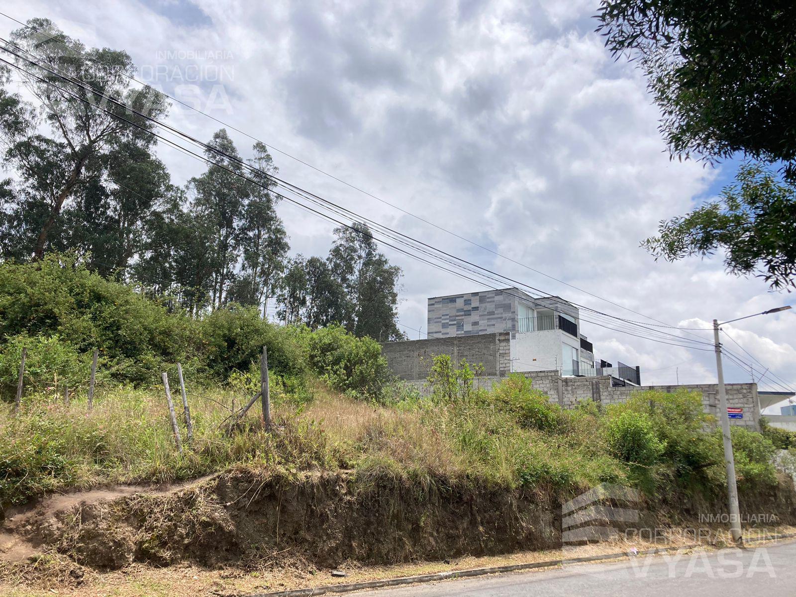 YANAZARAPATA -CUMBAYÁ, TERRENO EN VENTA DE 1.012 M2