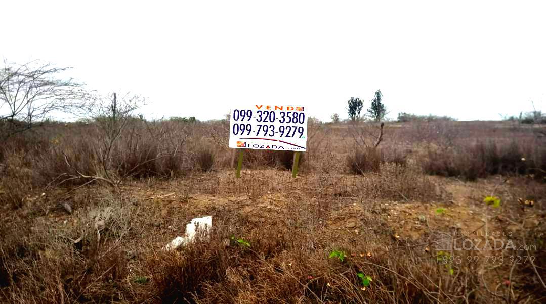 Vendo Terreno - Atahualpa 25 Ha Vía Asfaltada