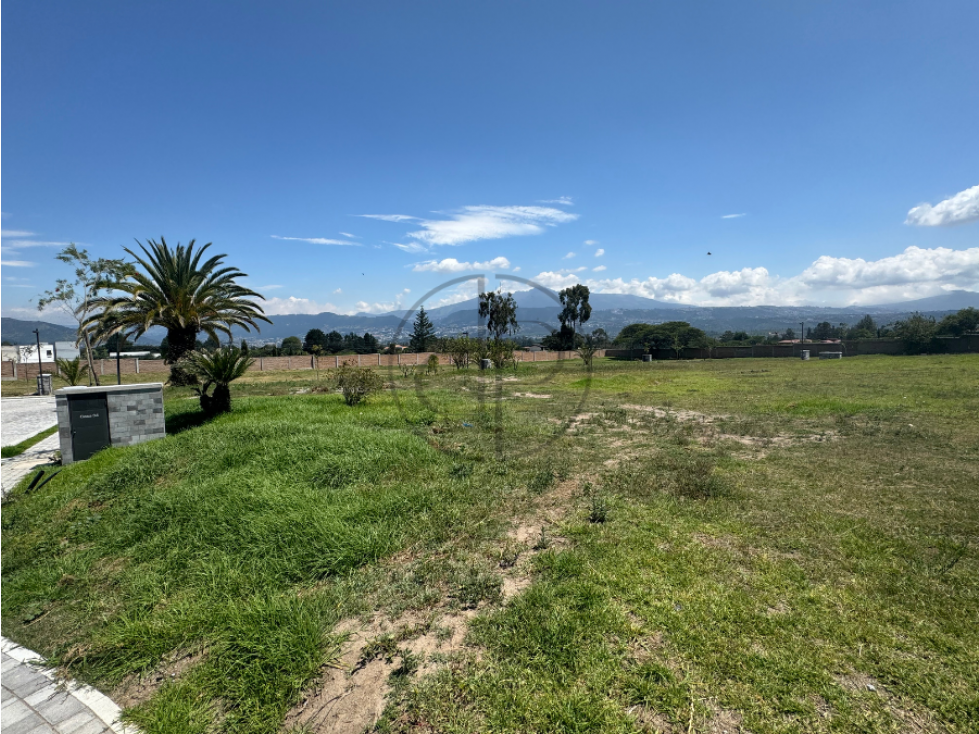 PUEMBO 705,09 M2 EN VENTA TERRENO UNIFAMILIAR URBANIZACION DE LUJO