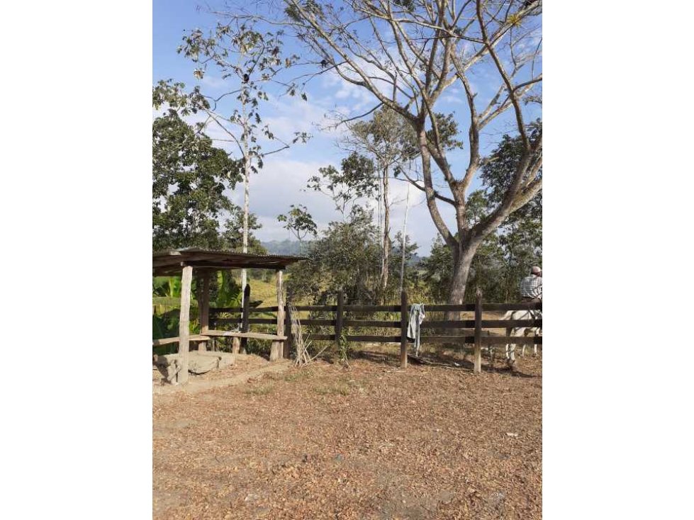 En Venta Finca Ganadera En Manabi 97 hectáreas