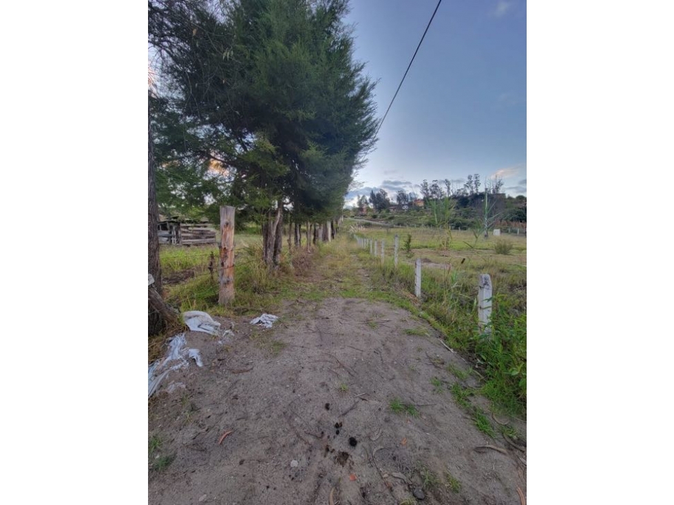 TERRENO PLANO EN VENTA SECTOR CHAULLABAMBA