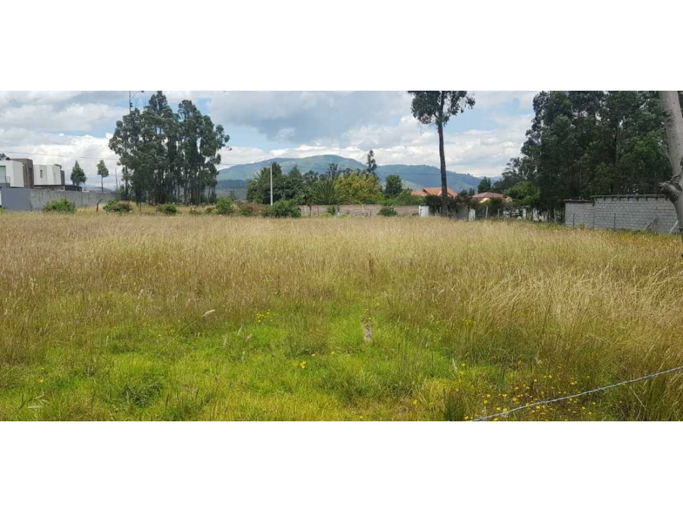 Venta terreno en Pifo, ideal para Proyecto 137 dólares por m2